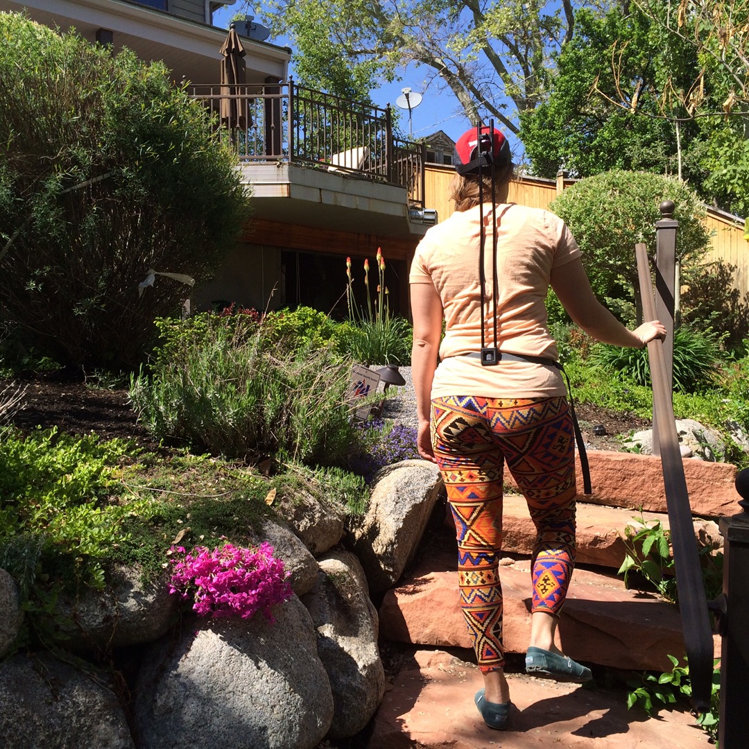 HSS-2 Head Support System